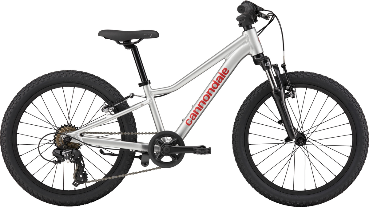 Cannondale Kids Trail 20 Silver (2027)