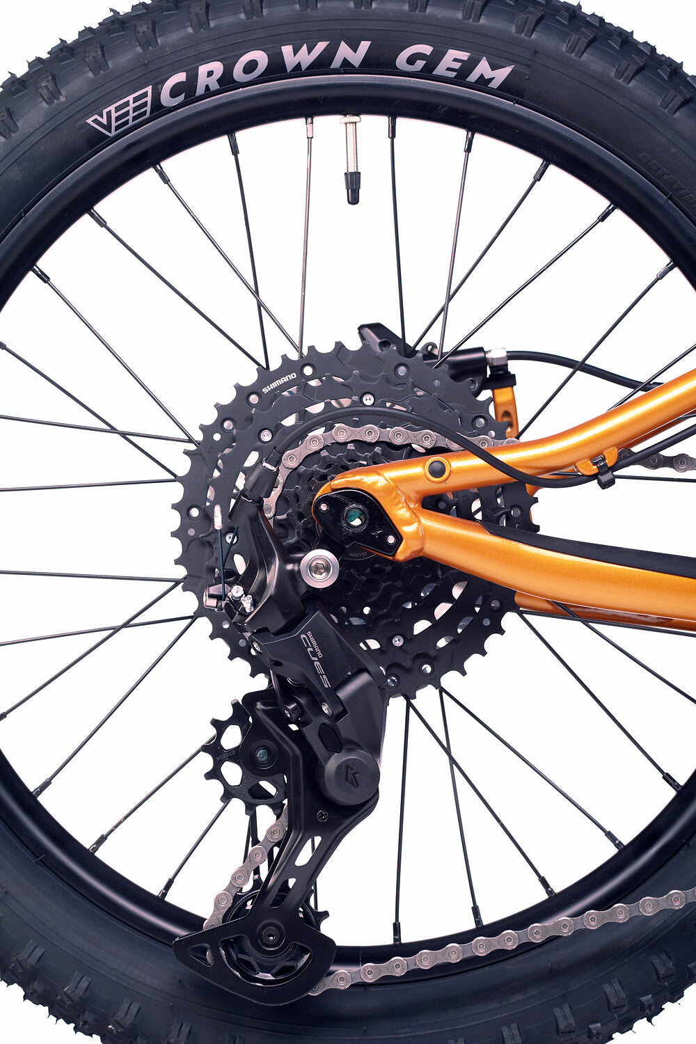 Academy Trail 4 R 20 Zoll Mountainbike Amber (2027)