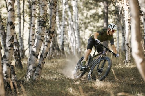 MTB 29 Zoll - Kategorie-Header