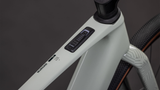 Cube Nuroad Hybrid C:62 Race 400X reedbeige´n´black (2026)