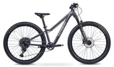 Academy  Trail 7 27,5" Rahmenhöhe 33cm Space (2027)