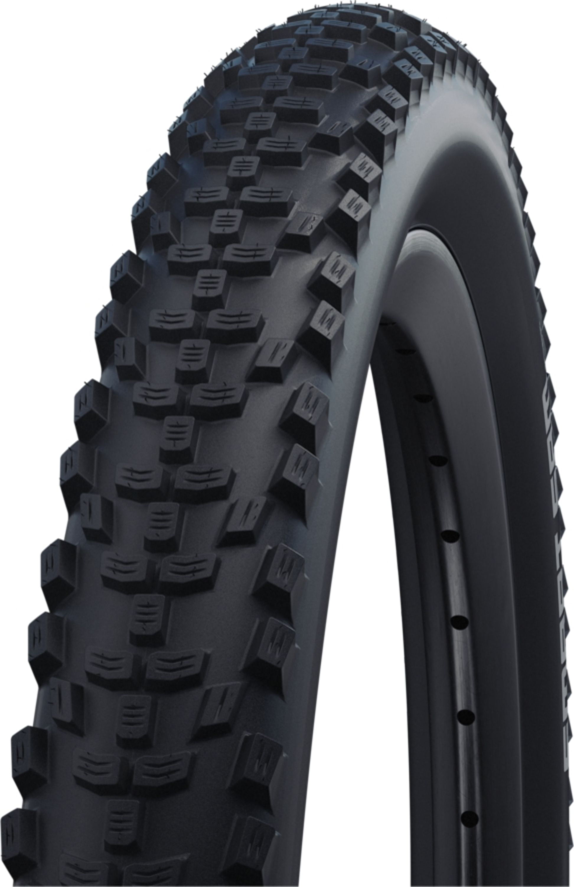 Schwalbe Smart Sam | Performance Line | Performance 29