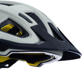 CUBE Helm FLEET grey