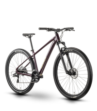 Raymon Nayta (2026) | 29 Zoll MTB Hardtail | floridplum/sulfur – aktuelle Variante