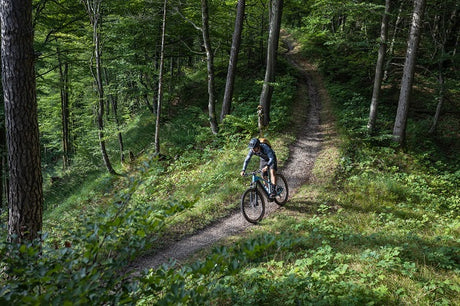 Hardtail oder Fully?