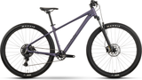 Raymon Nayta Comp aubergine/black (2026)