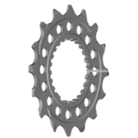 Shimano Ritzel für CS-M9100