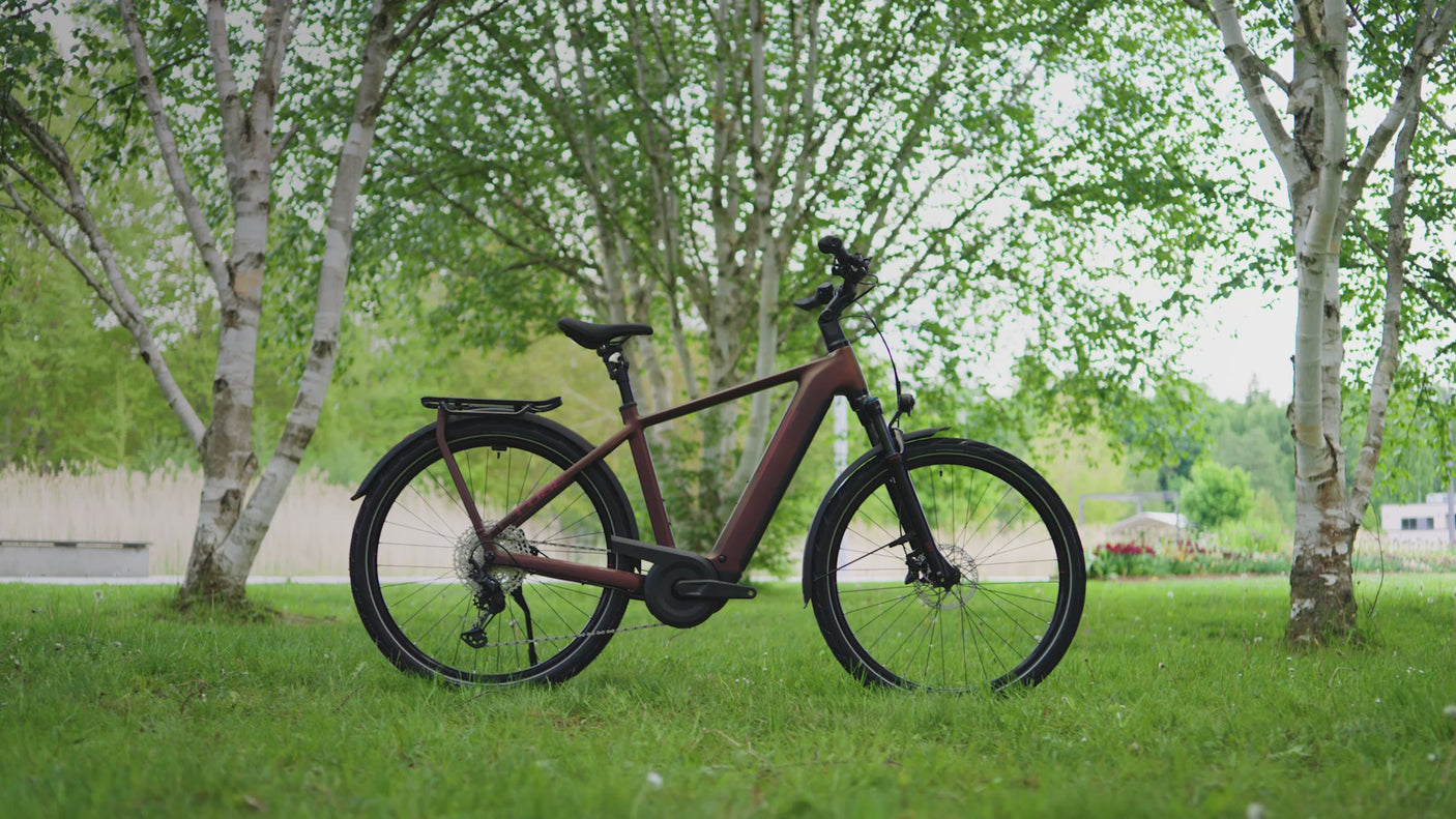 Cube Kathmandu Hybrid Pro 800 coal´n´black (2026)